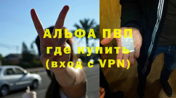 стафф Аркадак