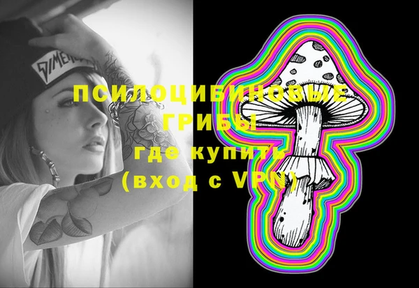 стафф Аркадак